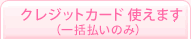 クレジットカード使えます（分割払い可）